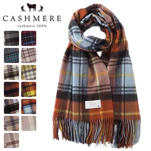 2021AW A/W Stole Che Cashmere Stole Cashmere 100 Blanket