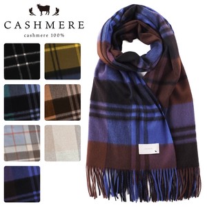 2021AW A/W Stole Cashmere Che ｌarge stole Blanket