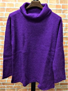 Sweater/Knitwear Wool Blend Turtle Neck