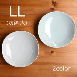 Hasami ware Main Dish Bowl L size Size LL