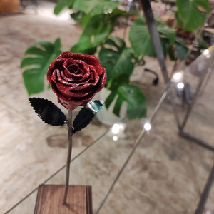 RED Rose Rose