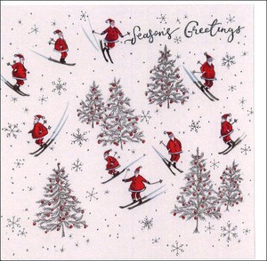 Greeting Card Christmas Skiing Santa Claus Message Card