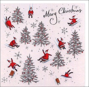 Greeting Card Christmas Santa Claus Message Card