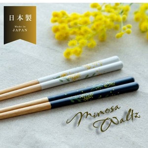 Chopsticks Gift Antibacterial Mimosa Dishwasher Safe Made in Japan