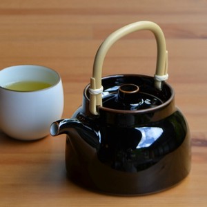 Hasami ware Japanese Teapot Earthenware