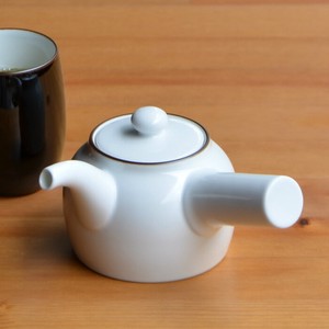 Basic Japanese Tea Pot HASAMI Ware