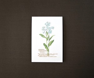 NonoHana Postcard Interior Plants