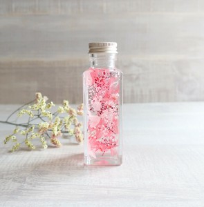 植物ノ瓶詰メ標本Collection（ハーバリウム：ボトルフラワー）　「 撫子－なでしこ－」ショート瓶