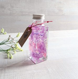 植物ノ瓶詰メ標本Collection（ハーバリウム：ボトルフラワー）　「 菫－すみれ－」ショート瓶