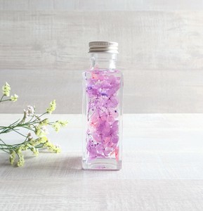 植物ノ瓶詰メ標本Collection（ハーバリウム：ボトルフラワー）　「 菫－すみれ－」ショート瓶