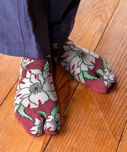 袜子 |长袜 23 ~ 25cm 日本制造