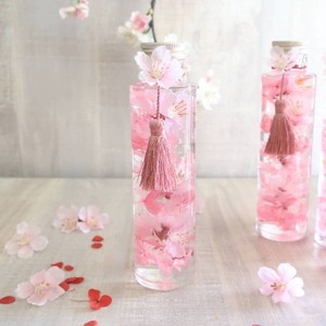 植物ノ瓶詰メ標本collection （ハーバリウム：ボトルフラワー） 【桜-サクラ-Artirium】