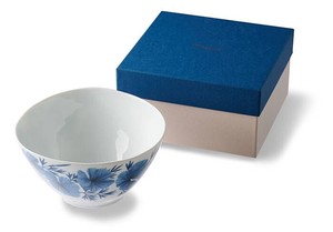 Mino ware Donburi Bowl [Boxed Gift] Western Tableware 15cm Made in Japan