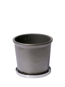 Pot/Planter Plant