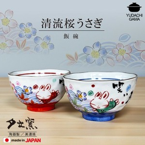 Rice Bowl