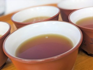 荒畑園_業務用ほうじ茶ティーパック（10g×70）