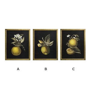 【Creative Co-Op Home】ウォールフレームアート　フルーツ　Fir Framed / Fruit Pattern 3 Styles
