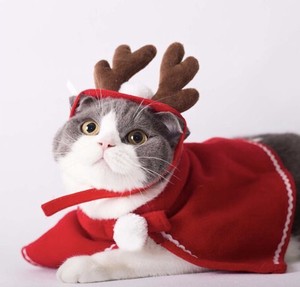 秋冬 ペット用品 クリスマス服 帽子 マント 服を飾る クリスマス 猫 犬W303  2022新作