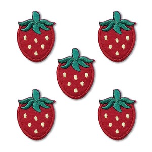 Patch/Applique Strawberry Patch Kids