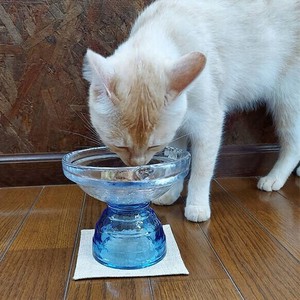 GLASS Cat Rice Food Bowl Type Blue