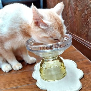 GLASS Cat Rice Food Bowl Type Sepia