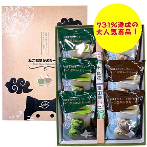 Popular 6 Pcs Powdered Tea 3 Pcs Houjicha 3 Pcs