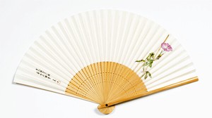 Japanese Fan Hand Fan