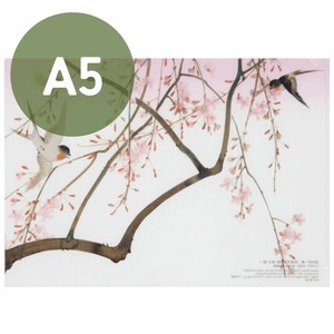 资料夹/文件夹 四季 A5 透明资料夹