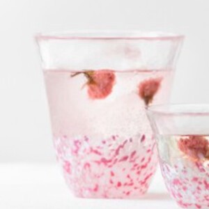 津轻玻璃 杯子/保温杯 粉色 玻璃杯 Sakura-Sakura 320ml 日本制造
