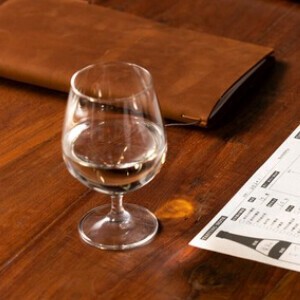 Adelia Barware Sake set Clear Made in Japan