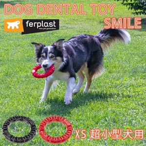 犬用おもちゃ はみがき スマイル XS  超小型犬 おもちゃ トイ 玩具 デンタル