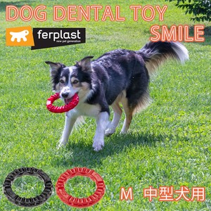 犬用おもちゃ はみがき スマイル M  中型犬 おもちゃ デンタル トイ 玩具