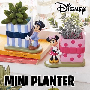 Pot/Planter Gift Mini Mickey Minnie Small Case Desney