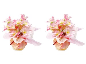 【日本製】和桜ボールPOP2個セット　春飾り【店舗装飾】
