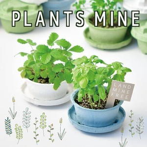 PLANTS MINE 栽培キット GD-948
