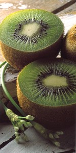 Postcard Message Card Kiwi Fruit