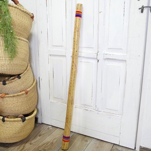 サボテンレインスティック100cm 　南米の民族楽器「2022新作」