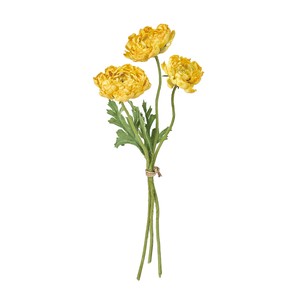 Dry Band Yellow Dry Flower Flower Ranunculus