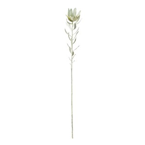 【セール品】MAGIQ　グレジュリーリューカデンドロン　ホワイトグリーン　造花　ワイルドフラワ