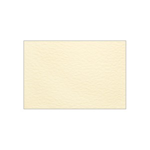 【セール品】プライスカード　Mサイズ　バニラ　カード　100枚入　包装資材