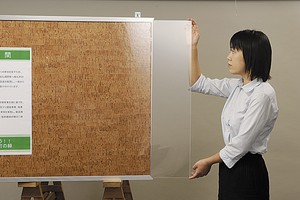Made in Japan pin Bib Case type Cork Board 2022