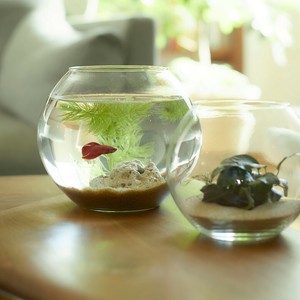 花瓶/花架 13cm