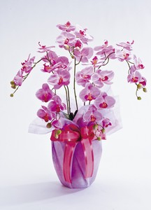 人造植物/人造花装饰 粉色 尺寸 L
