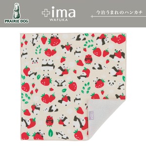 2022 Made in Japan Imabari Handkerchief Strawberry Panda Bear