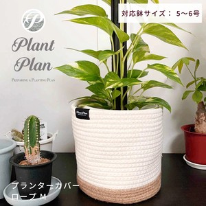 Pot/Planter Size M