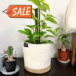Pot/Planter Size M