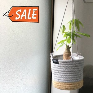 Pot/Planter