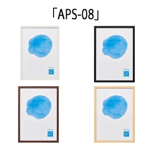 樹脂フレーム「APS-08」　全4色×6サイズ