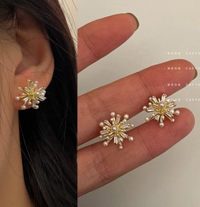 Crystal Firework Pierced Earring Earring 2022
