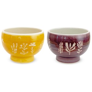 HASAMI Ware Made in Japan Pair Soup Bowl Free 3 50 NonoHana Yellow Purple
